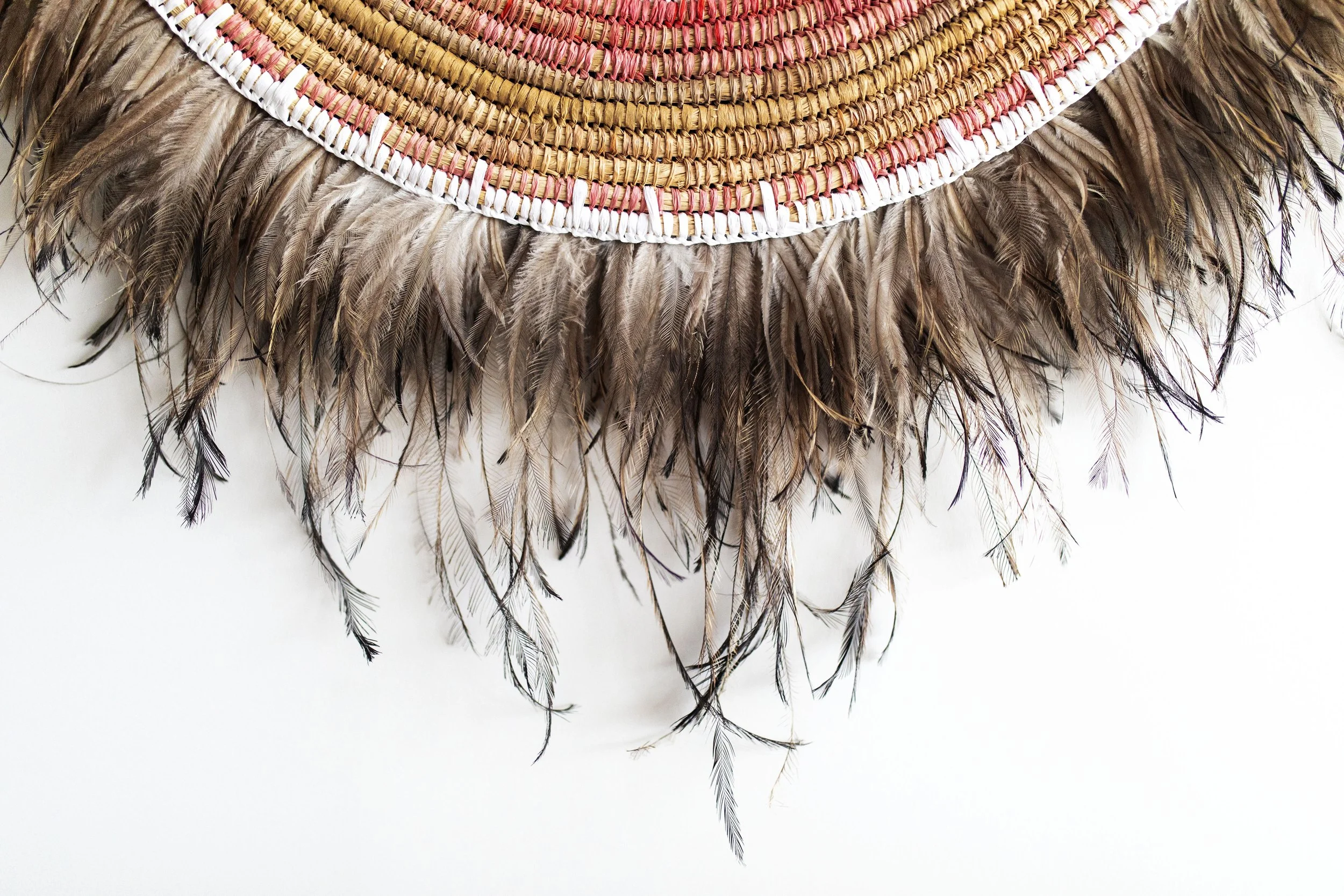 Canberra 2024 Fibrework Architecture Artwork.jpg