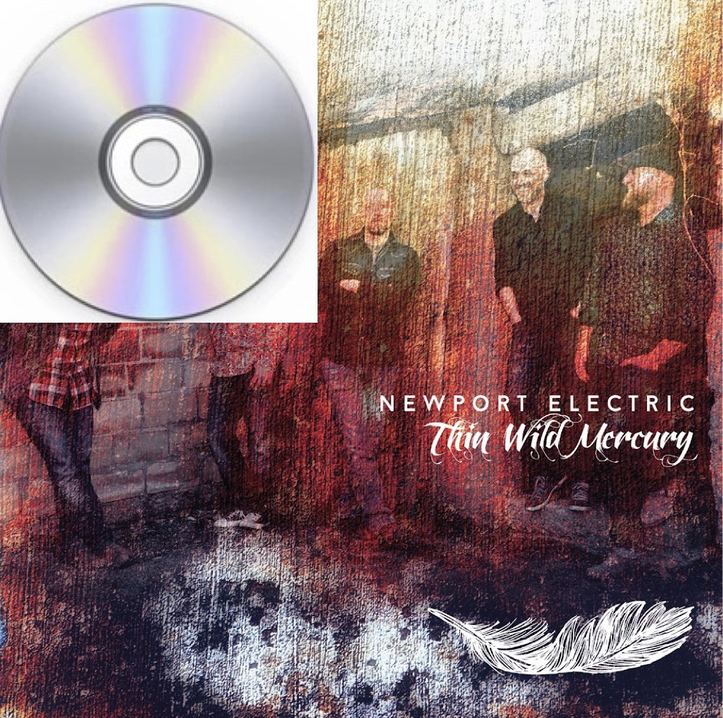 THIN WILD MERCURY (CD)