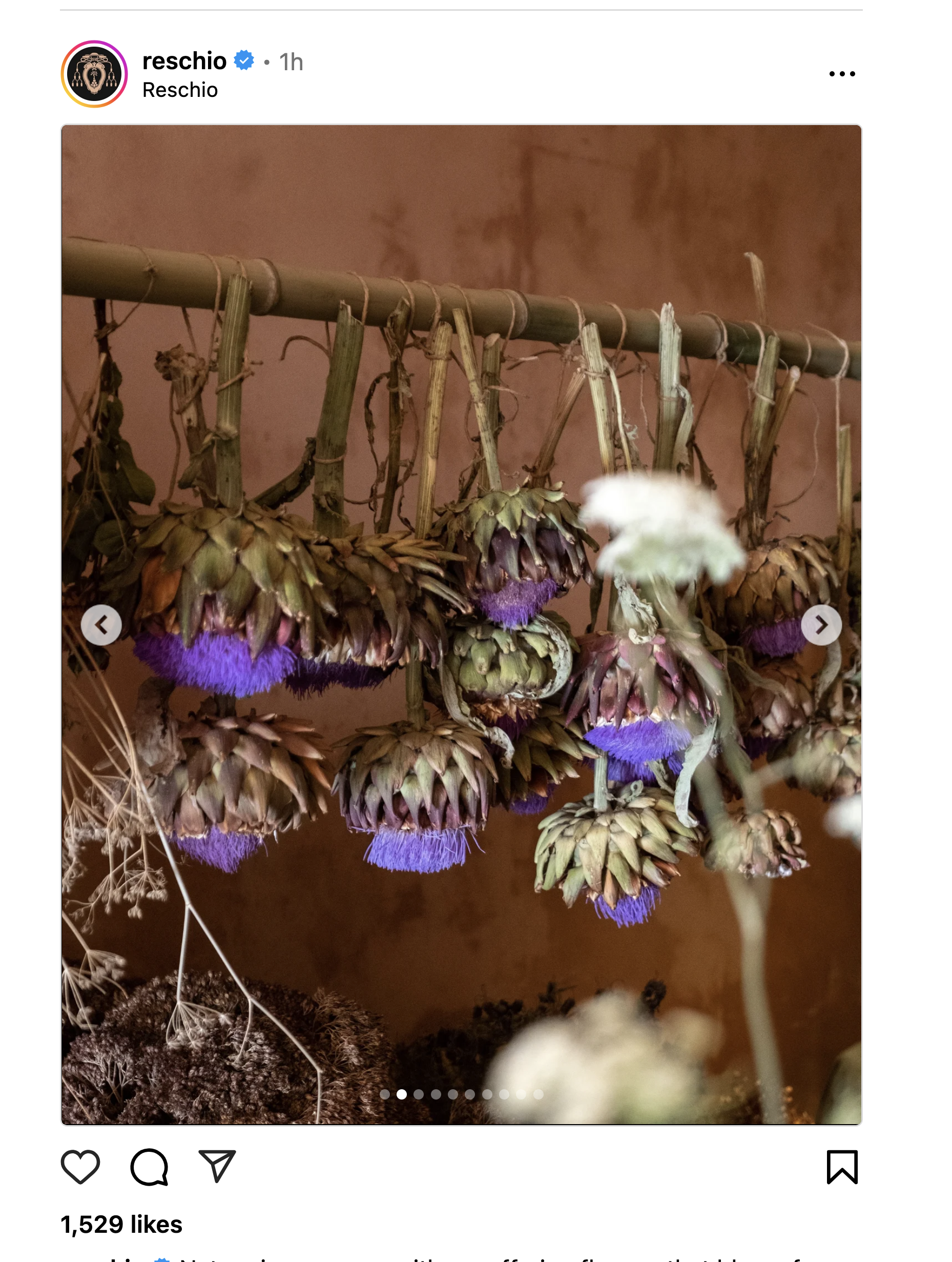 jewellry hanging off hooks.png