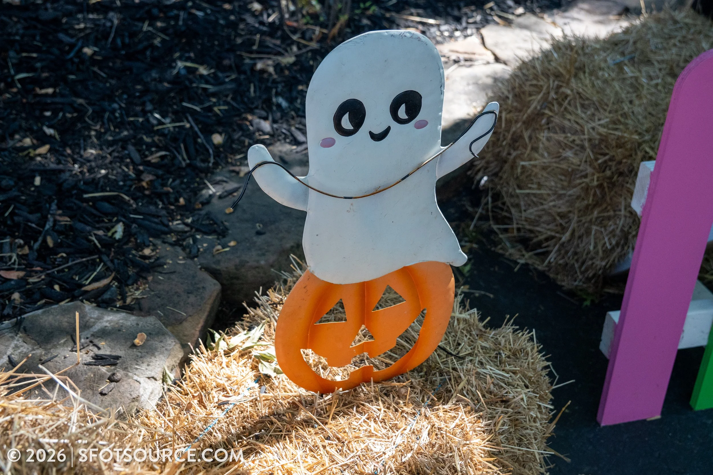 Tricks and Treats 2026, Six Flags Over Texas Event
