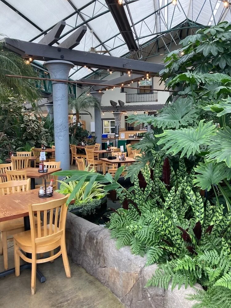 Swansons Nursery - Restaurant 02.jpeg