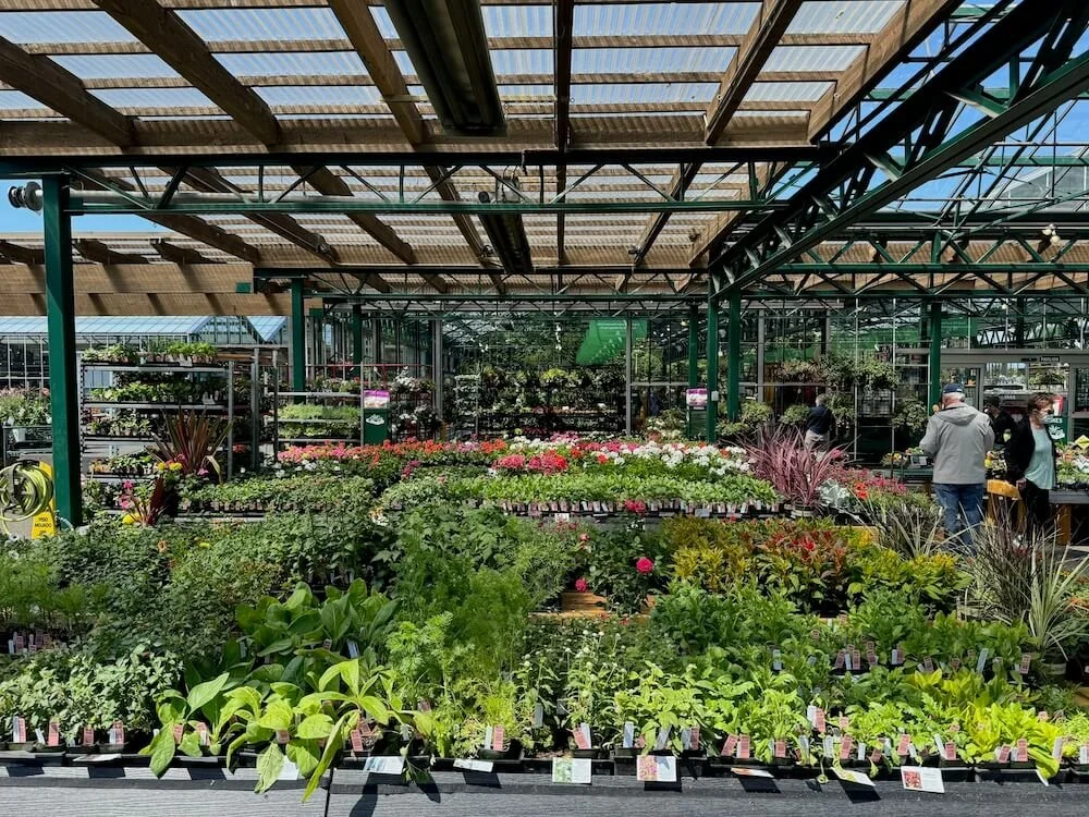 Swansons May 05.jpeg