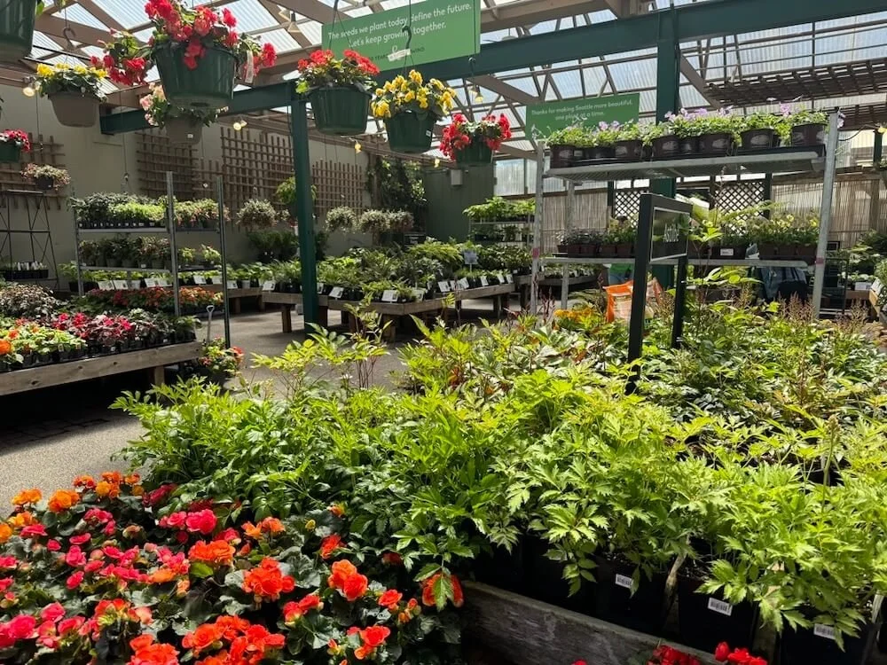 Swansons May 01.jpeg