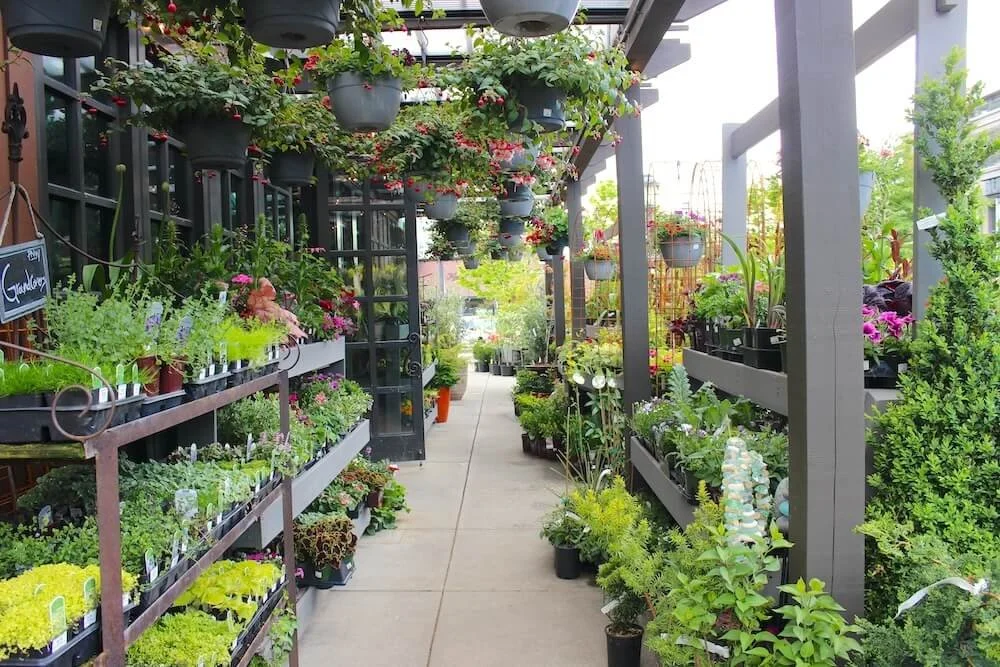 Ravenna Gardens 20 copy.JPG