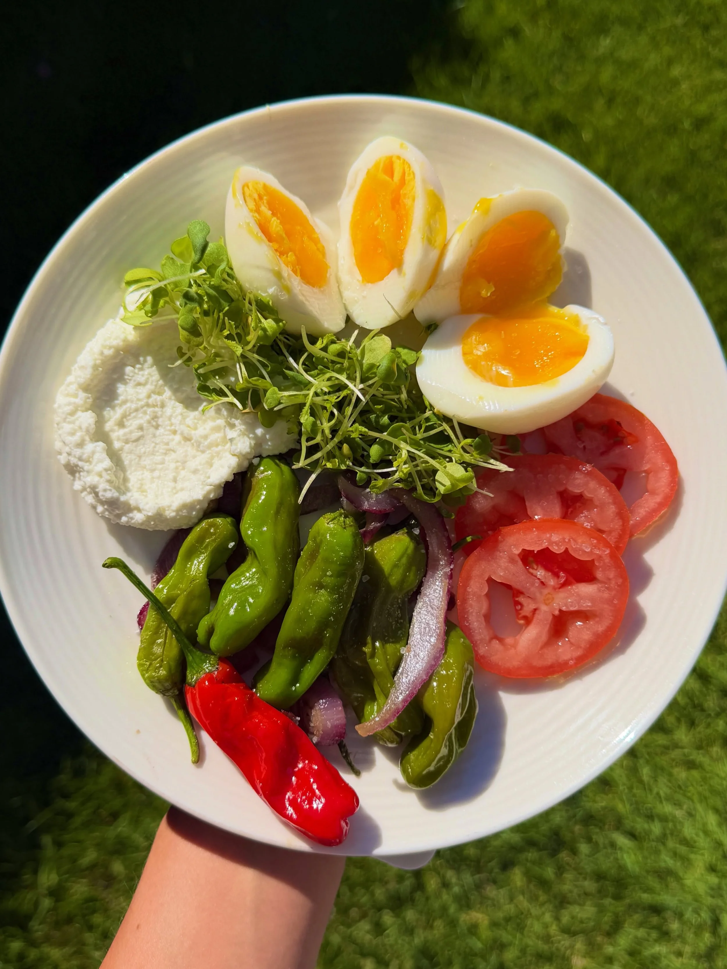 this &amp; not saying the f word (fall)🍅🥒🥬🌶️🍋🍉
.
.
.
#summerdiet #healthyeatinginspo #easyhealthyrecipes #inspo #foodblogger