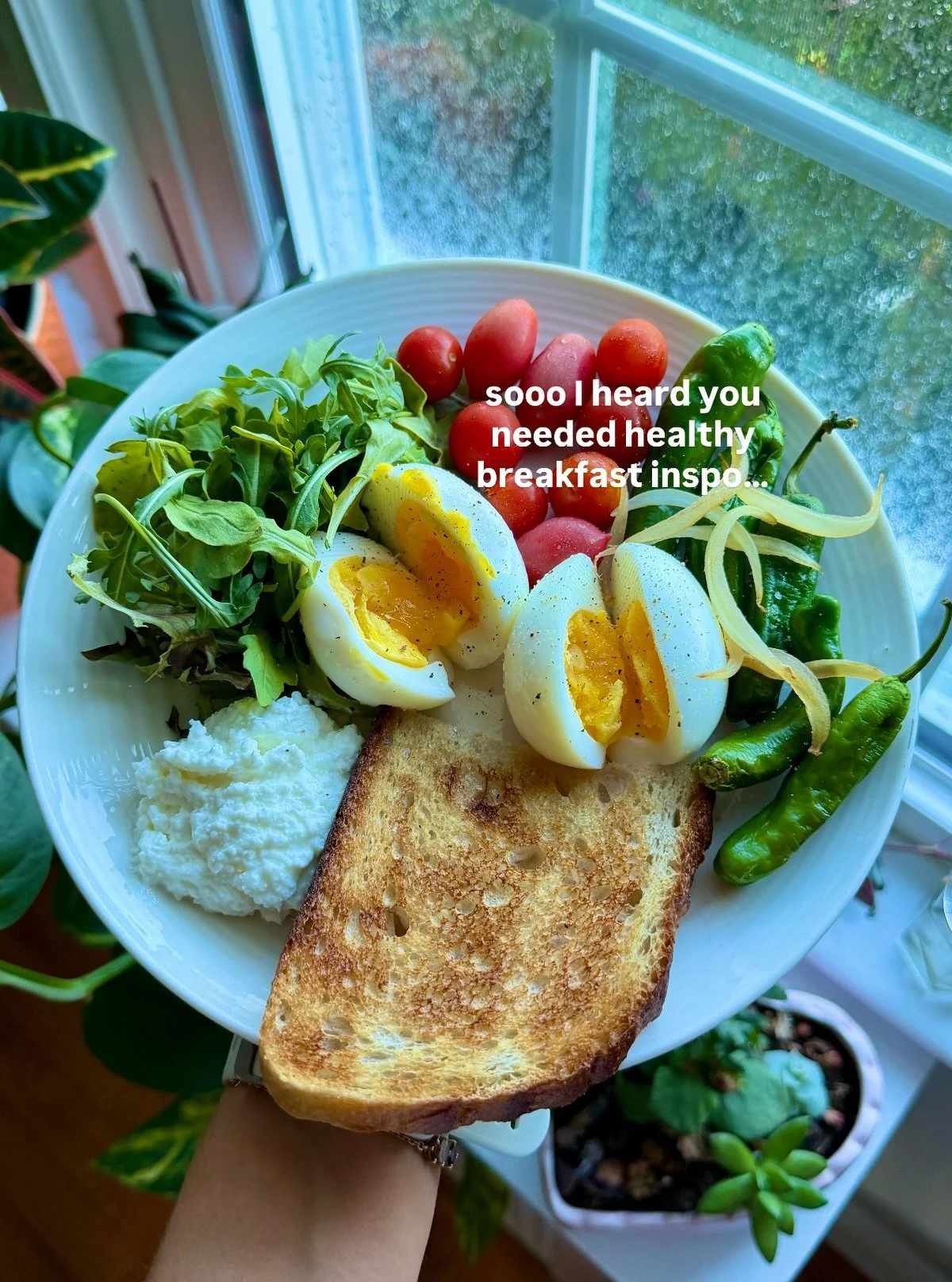 I don&rsquo;t play about my favorite meal😤 
here are my favorite healthy breakfasts! scroll my feed for recipes or visit the &ldquo;breakfast&rdquo; highlight on my profile🍳🥞💕
.
.
.
#healthybreakfastideas #healthybreakfastrecipes #easyhealthyreci