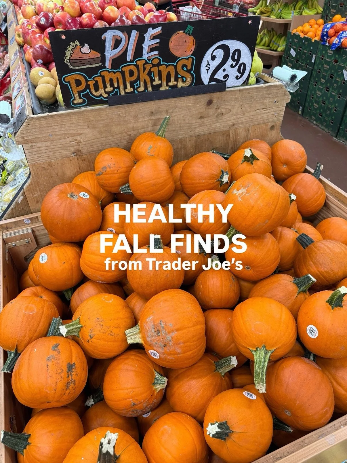 it&rsquo;s officially fall at @traderjoes 🍂🍎🍁🎃 check out what I&rsquo;m filling my cart with this season!
.
.
.
#traderjoeshaul #healthygroceryhaul #traderjoes #dietitianeats #healthylifestyle
