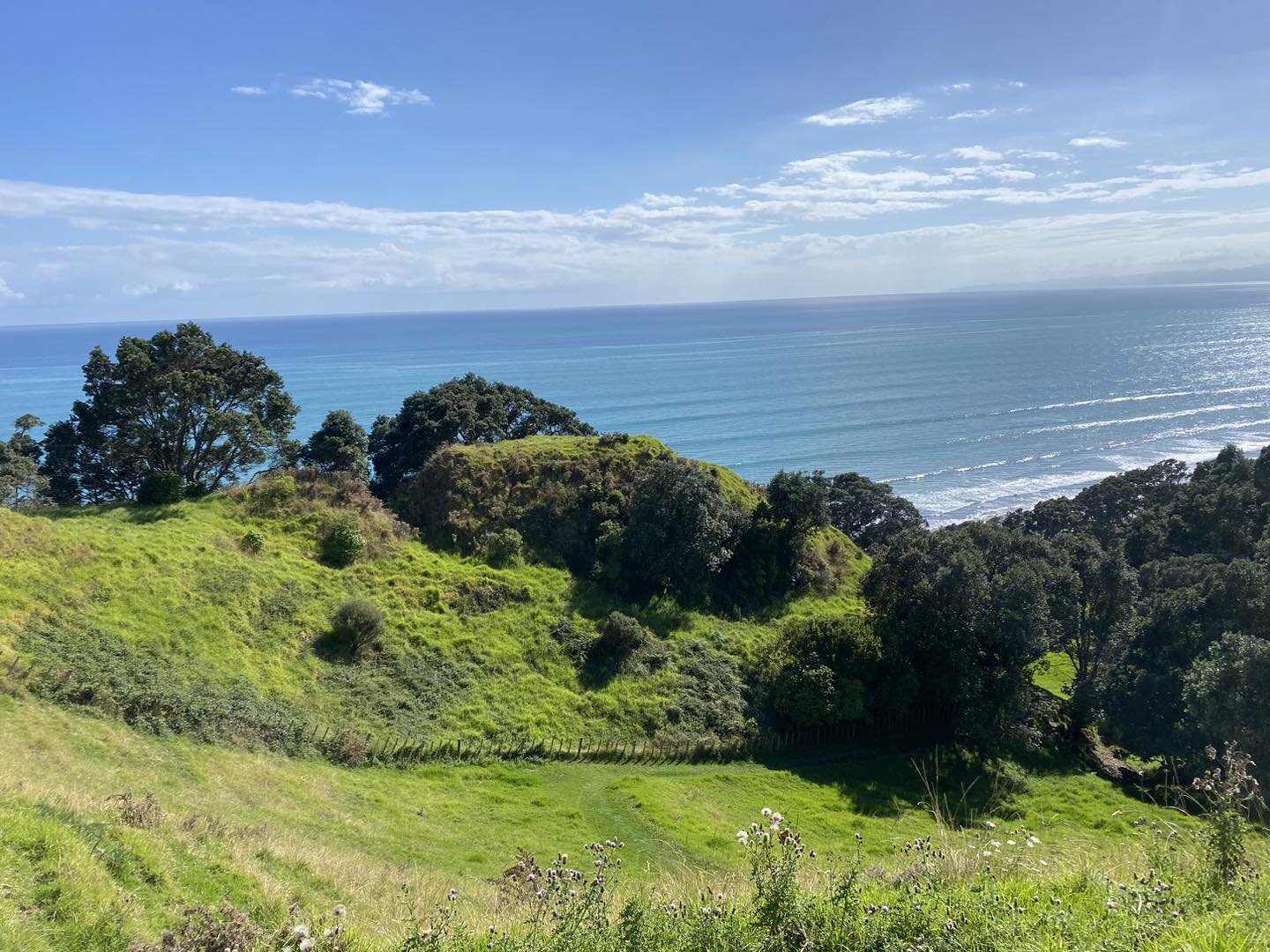 Just a Bay of Plenty archaeology highlight reel from last week 😏🤩 
All accessible to the public too so get out there! Featured: Onekawa Te Mawhai Regional Park, Tauwhare Pā Scenic Reserve and Pāpāmoa Hills Cultural Heritage Regional Park ✨