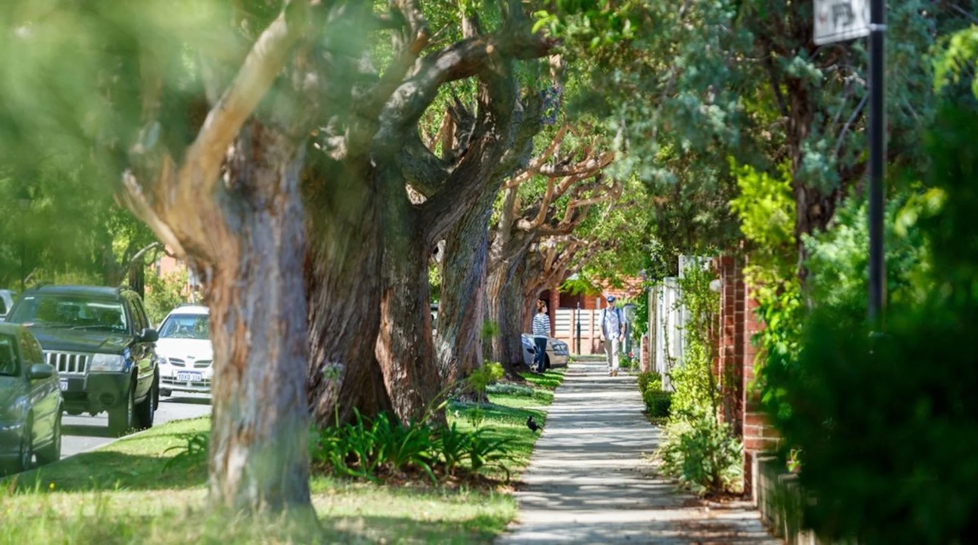 DPLH urban greening.jpg