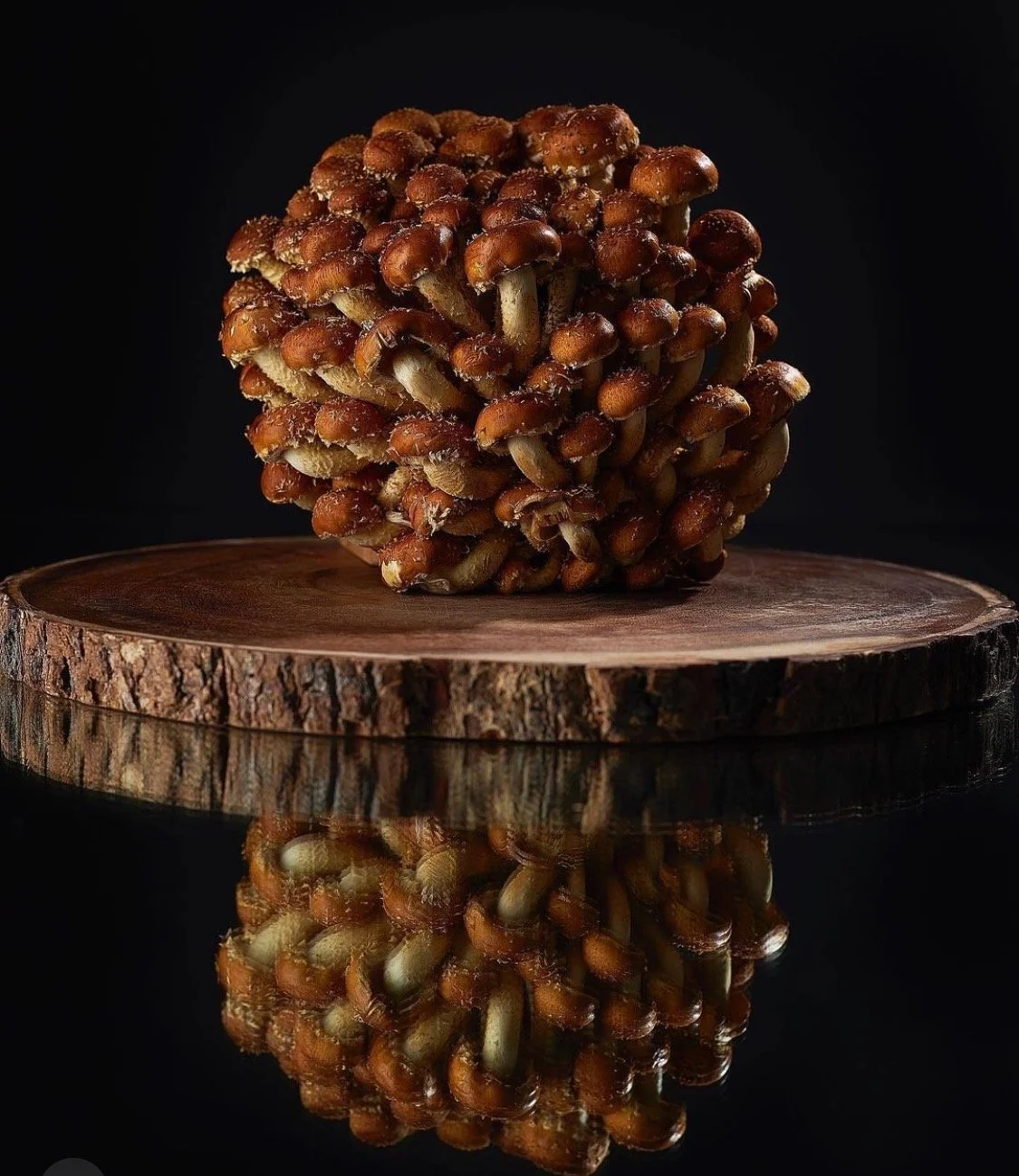 Screenshot 2022-10-13 at 7.31.06 PM.jpeg