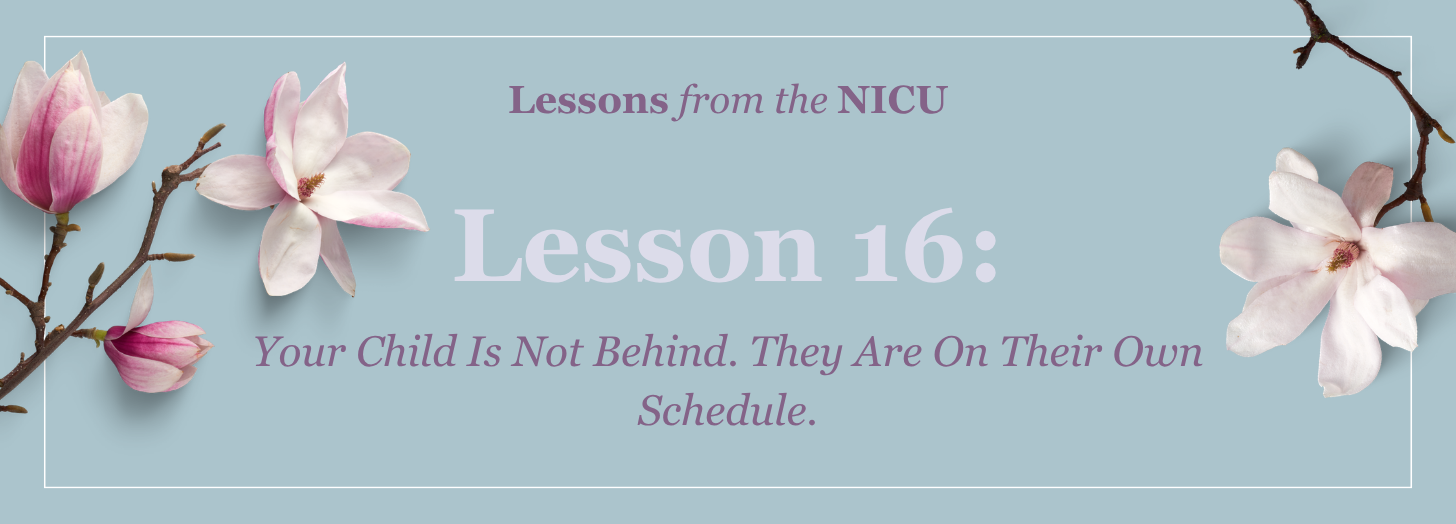 Lesson 17: What Happens After the Crisis - The Hidden Work