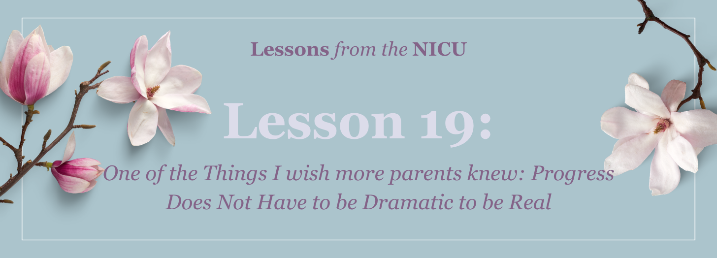 Lesson 19: One of the Things I wish more parents knew: Progress Does Not Have to be Dramatic to be Real