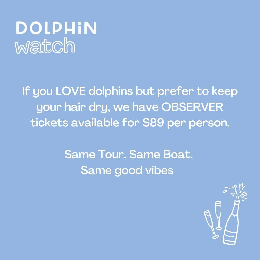 DOLPHIN WATCH 🐬⁠
This is literally the best dolphin watching experience you could ever do! Not only do you get to go offshore and watch wild oceanic dolphins in their natural environment, you get to watch them interact with humans as well! ⁠
This is