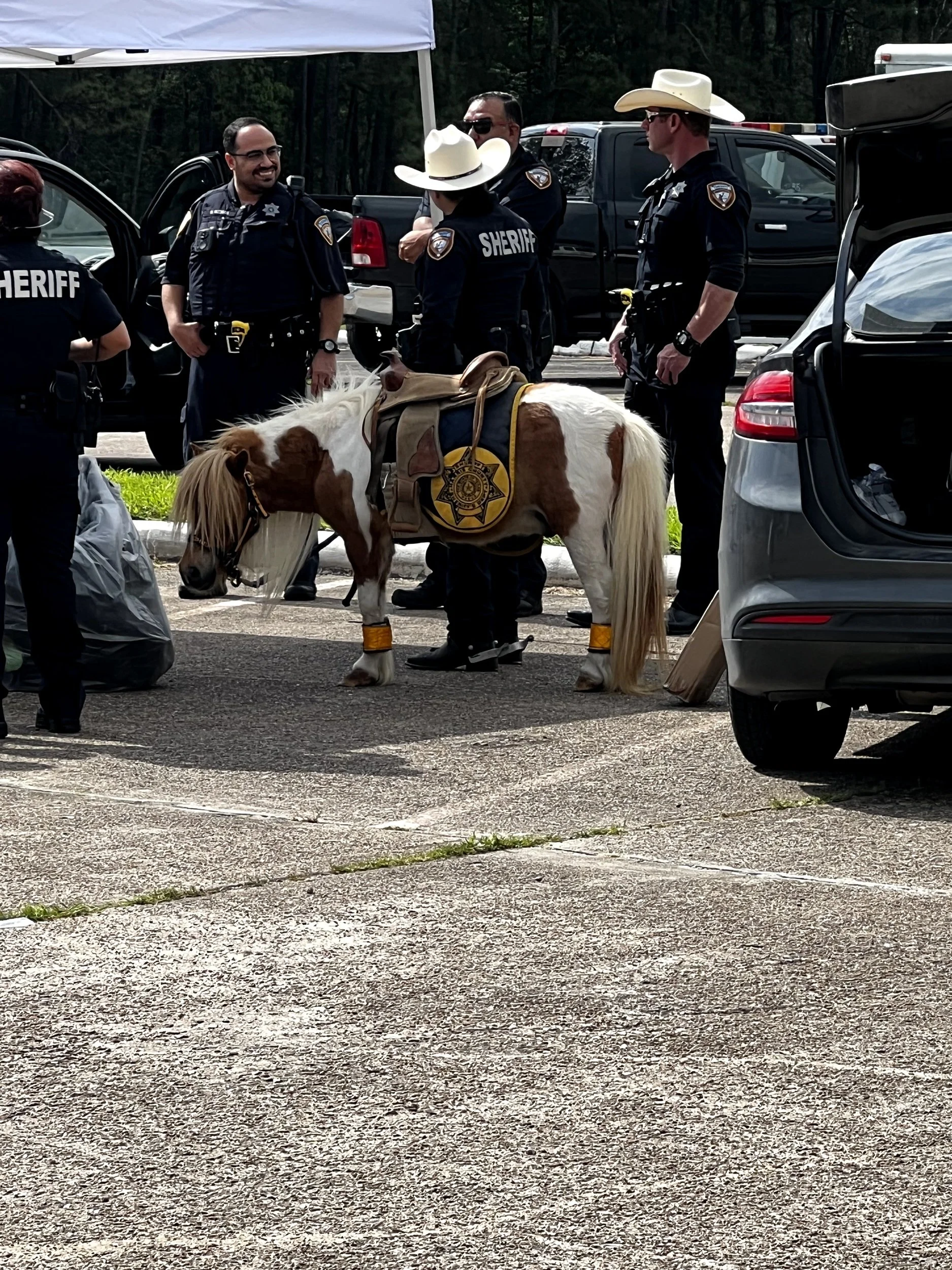 County officers bring out the miniature horse. 