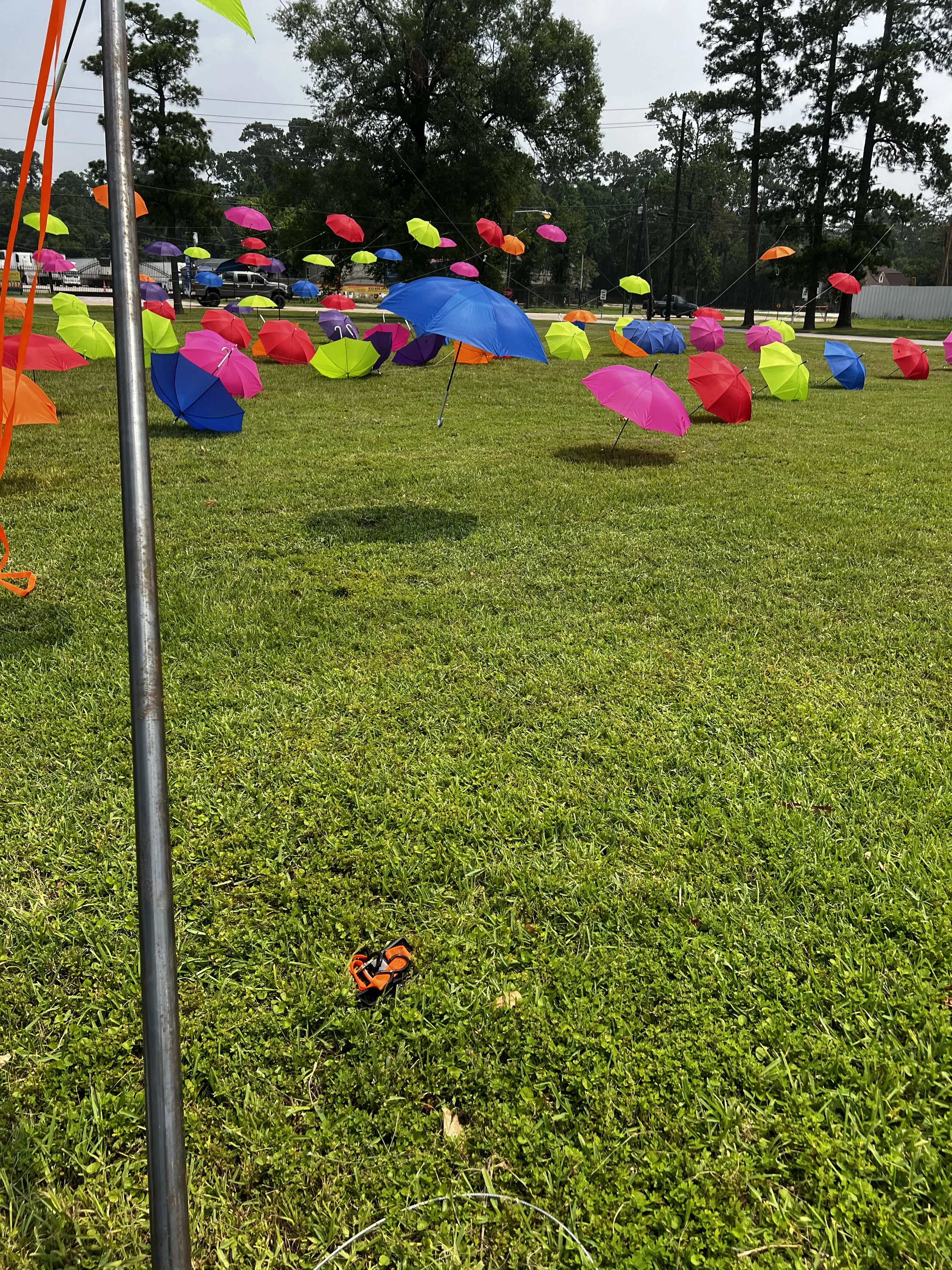 IMG_2184 (1) - Copy.jpg