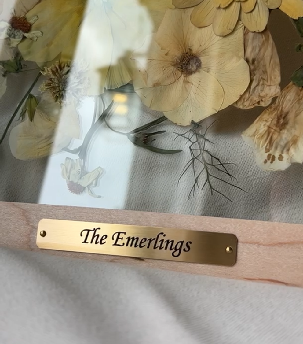 View recent photos.jpeg