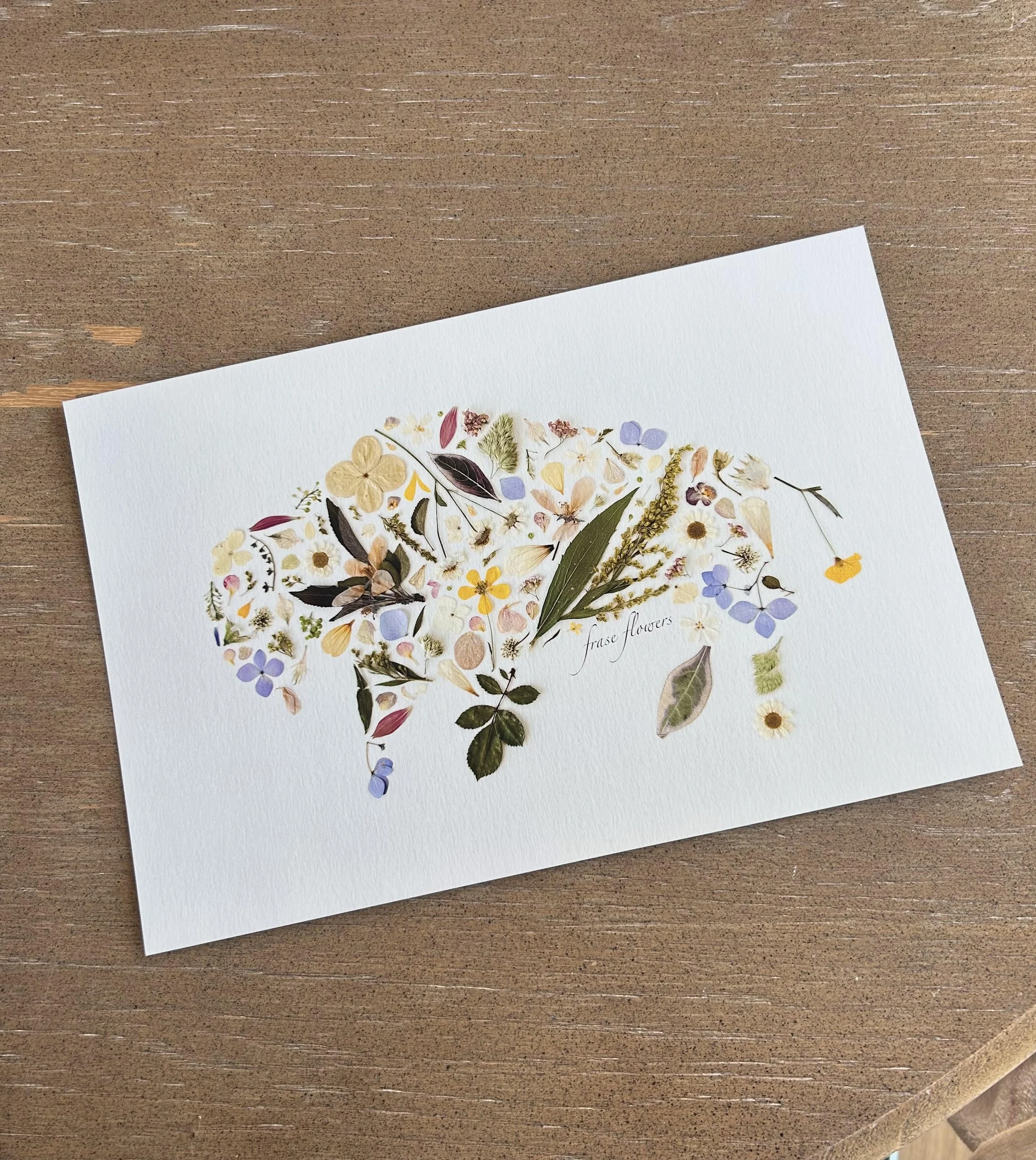 Print: Floral Buffalo