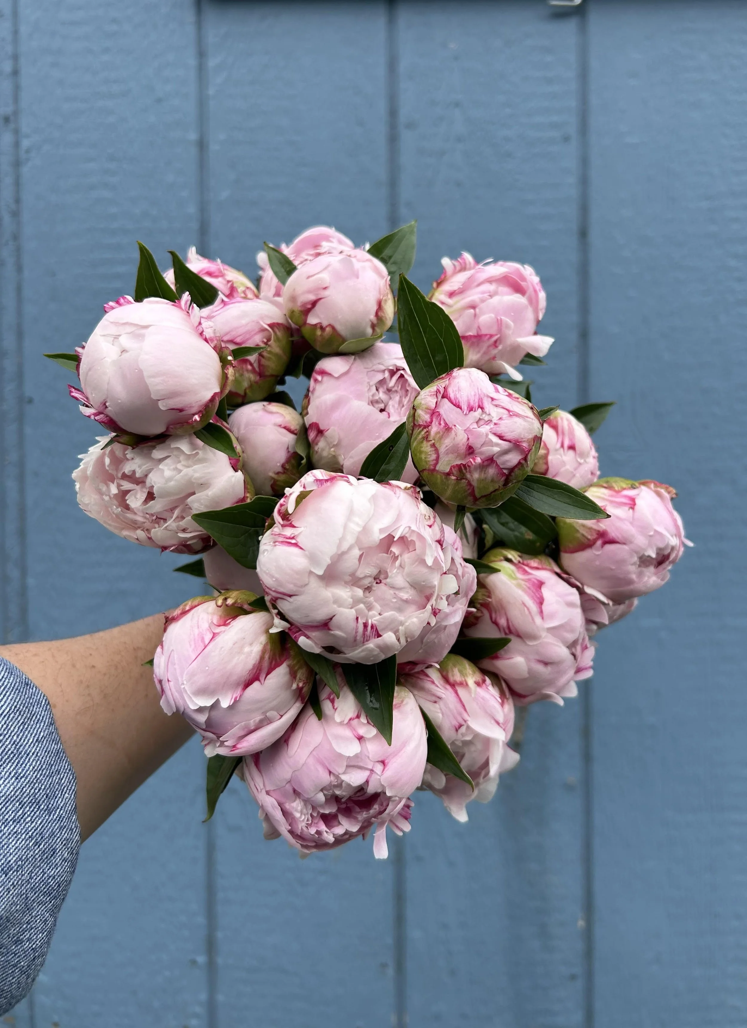 Mixed Peony Bouquet