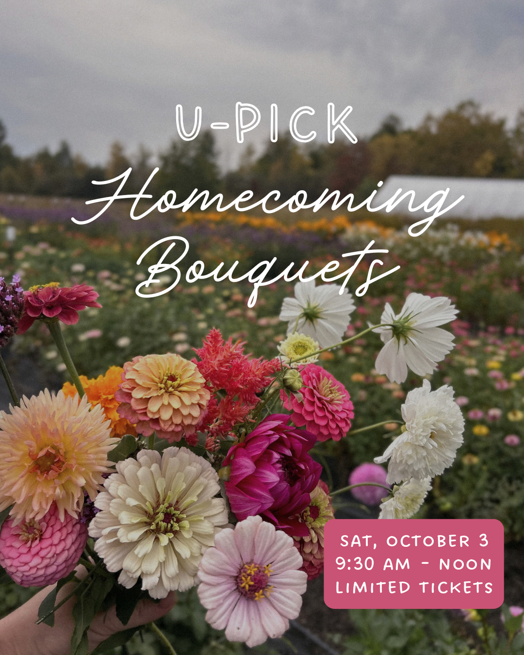 u pick bouquets.png