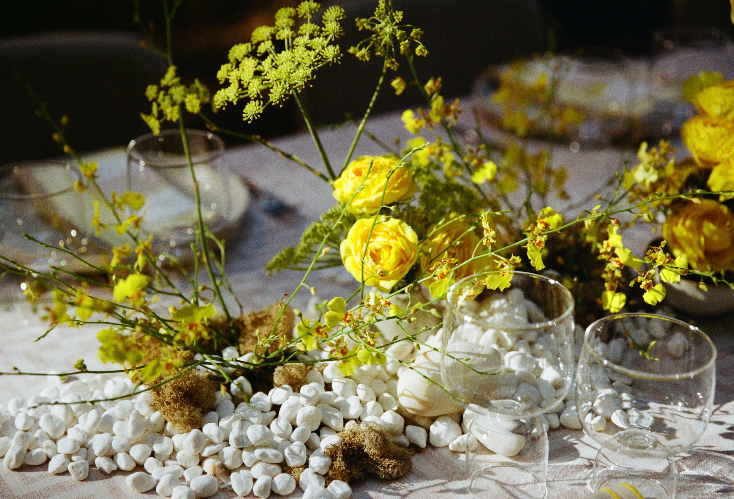 ColorBlockedWedding_RunnymedeSculpture Farm_002.JPG
