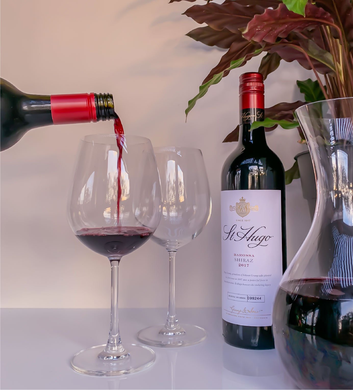 Mansfield Red Wine Glass - Action.jpg