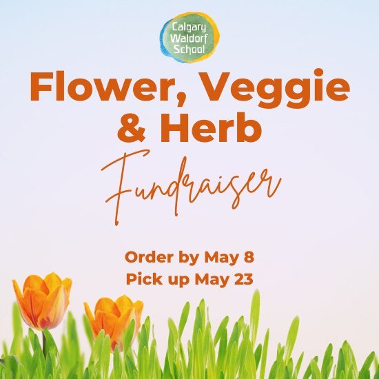 Are you ready to grow something amazing? 🌱🌻 The Calgary Waldorf School's Spring Flower, Veggie, and Herb Fundraiser is here! Our selection of plants will add beauty and flavour to your garden while supporting our school. 🌼🍅🌿 Order now! 
Link in 