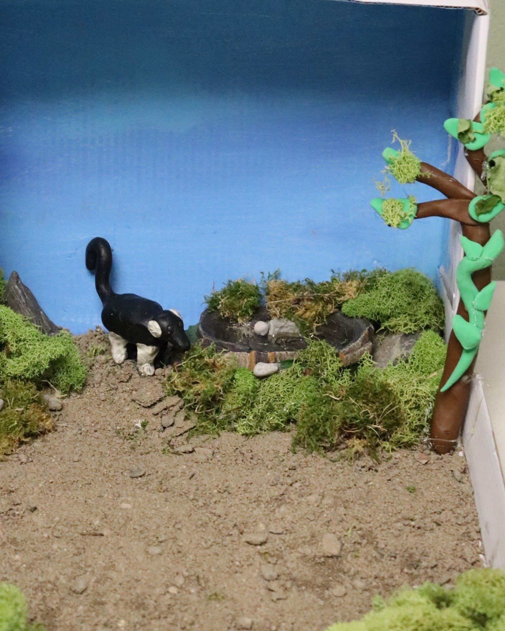 Class 4 students have finished their reports and dioramas, and are beginning to present their Animal Projects to their class. This multi-disciplinary project is the culmination of many weeks of hard work!