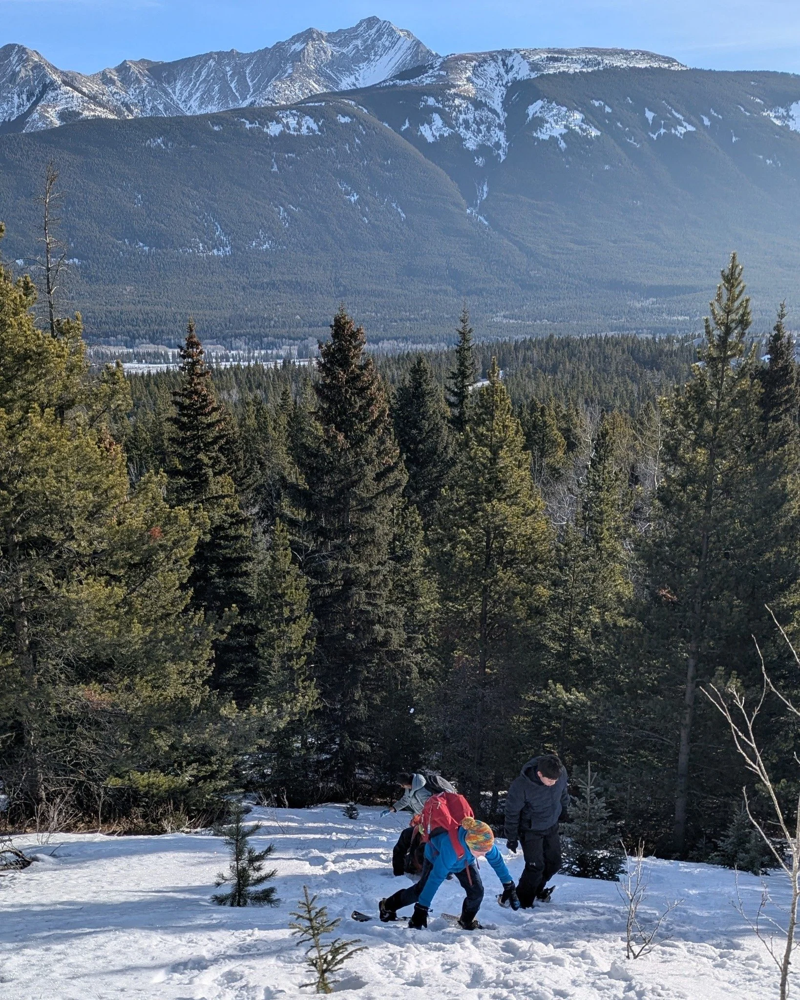 When we swap the classroom for the Foothills, every snowy ascent becomes a lesson in resilience. Trading our desks for snowshoes, our Class 7 students aren't just climbing a hill; they&rsquo;re building physical grit, spatial awareness, and the will-