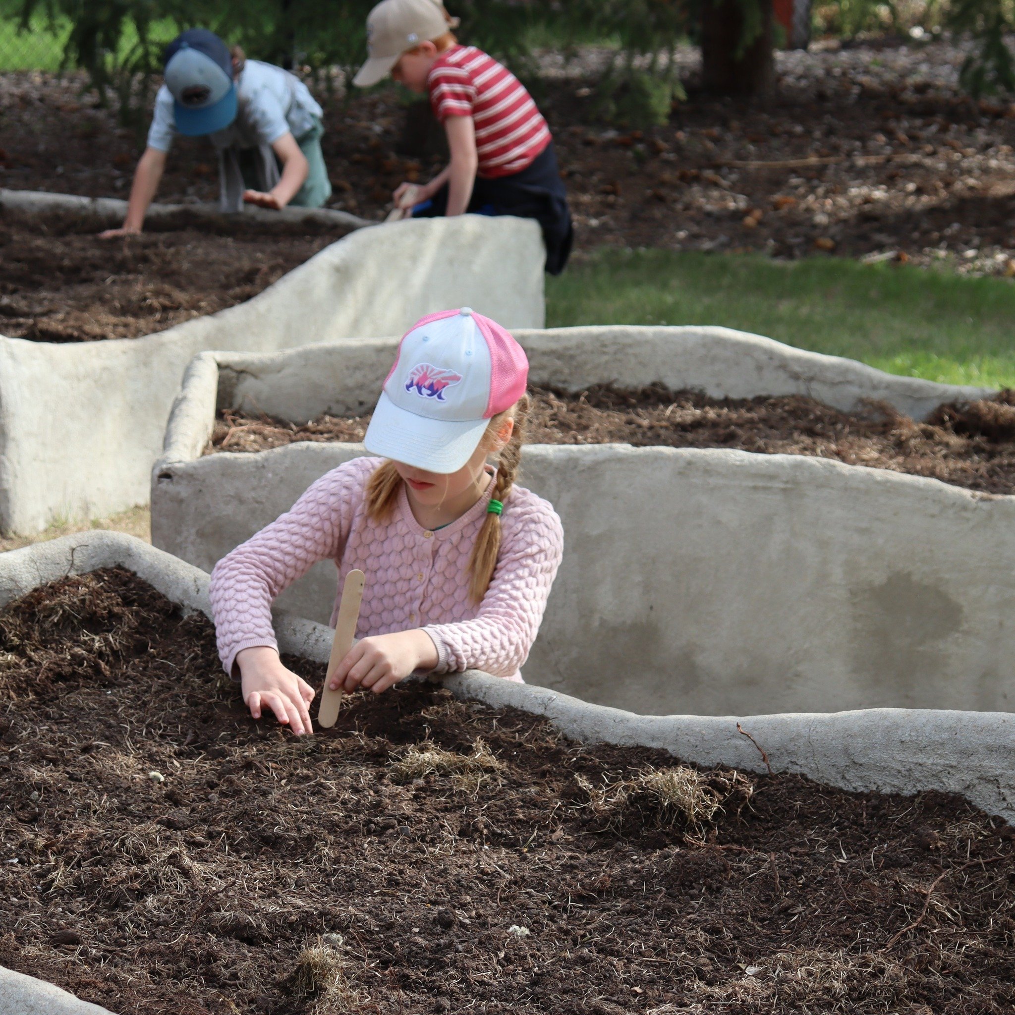 Preparation is the key to a successful harvest! Class 2 spent time prepping the soil and practicing proper vegetable spacing and seed depths, ensuring everything was ready for the official planting.