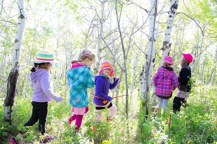 Tuition Fees and Enrolment Information — Calgary Waldorf School