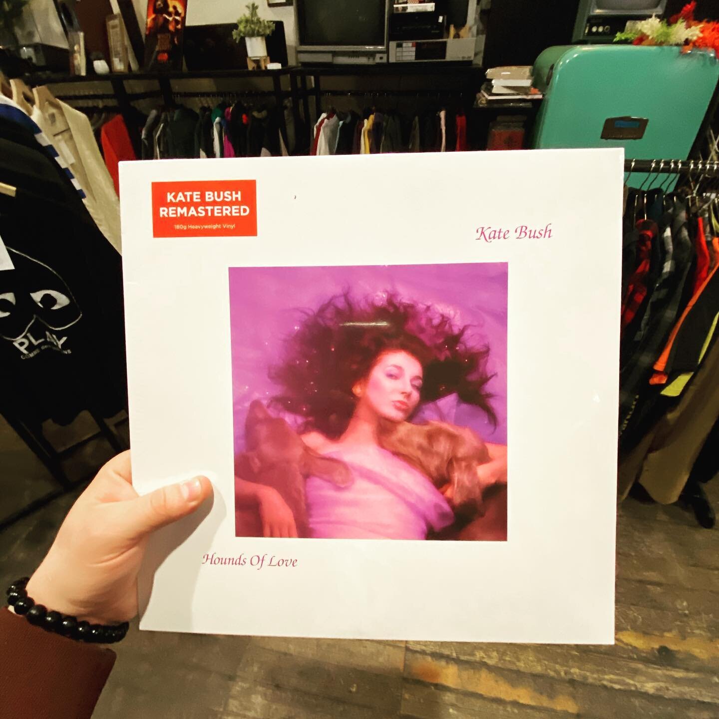 Hefty restock this weekend! Fresh wax from Kate Bush, MF Doom, Max Miller, Prince, and more! Plus a super tasty mix of Japanese City Pop 😎😎😎 

Limited hours this weekend for Mid West Music Fest, so go grab your records then come down south!

#newa