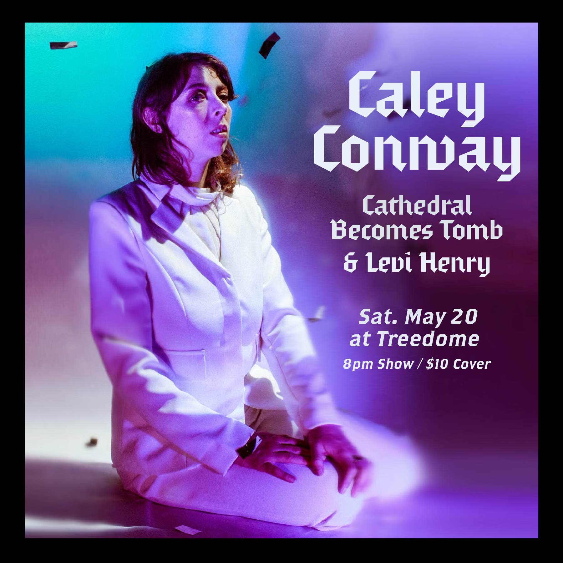 This Saturday, @caleyconwaymusic  stops at the Treedome Shop for a show with Cathedral Becomes Tomb (of Field Report) and @levi_henry  7pm doors, 8pm show / $10 cover. 

#livemusic #mnmusic #rochmn #recordshop