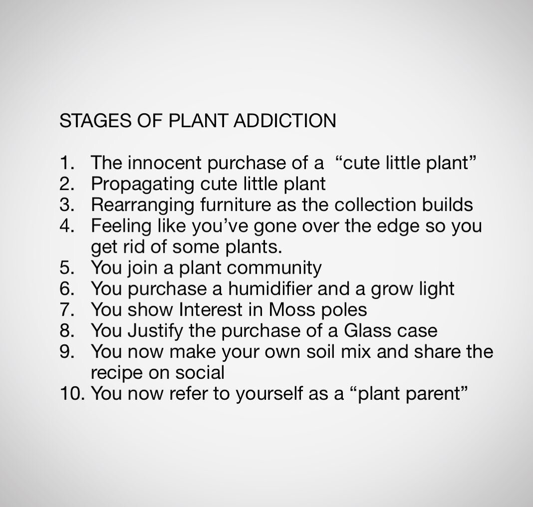 Did I miss any?? 😅
I&rsquo;m now at stage 8 and there&rsquo;s no going back.