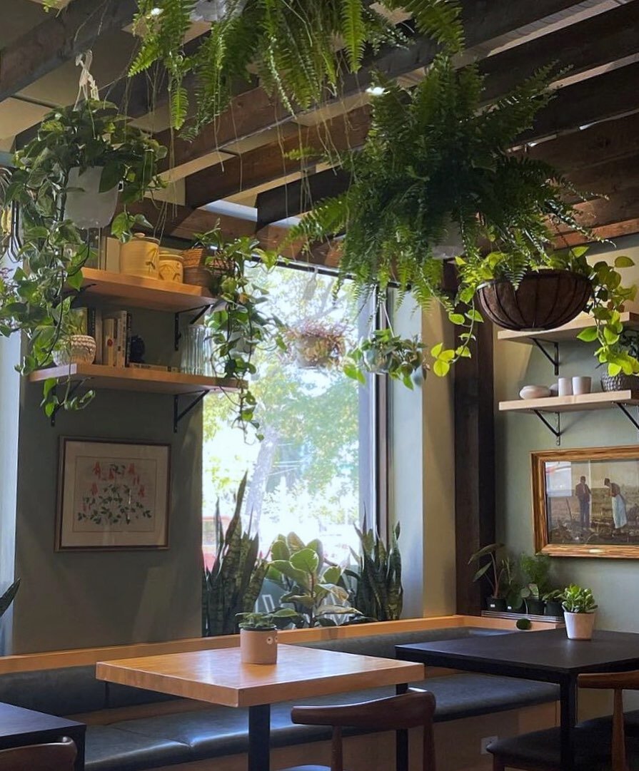 We have Plants and Brunch. Need anymore reasons?