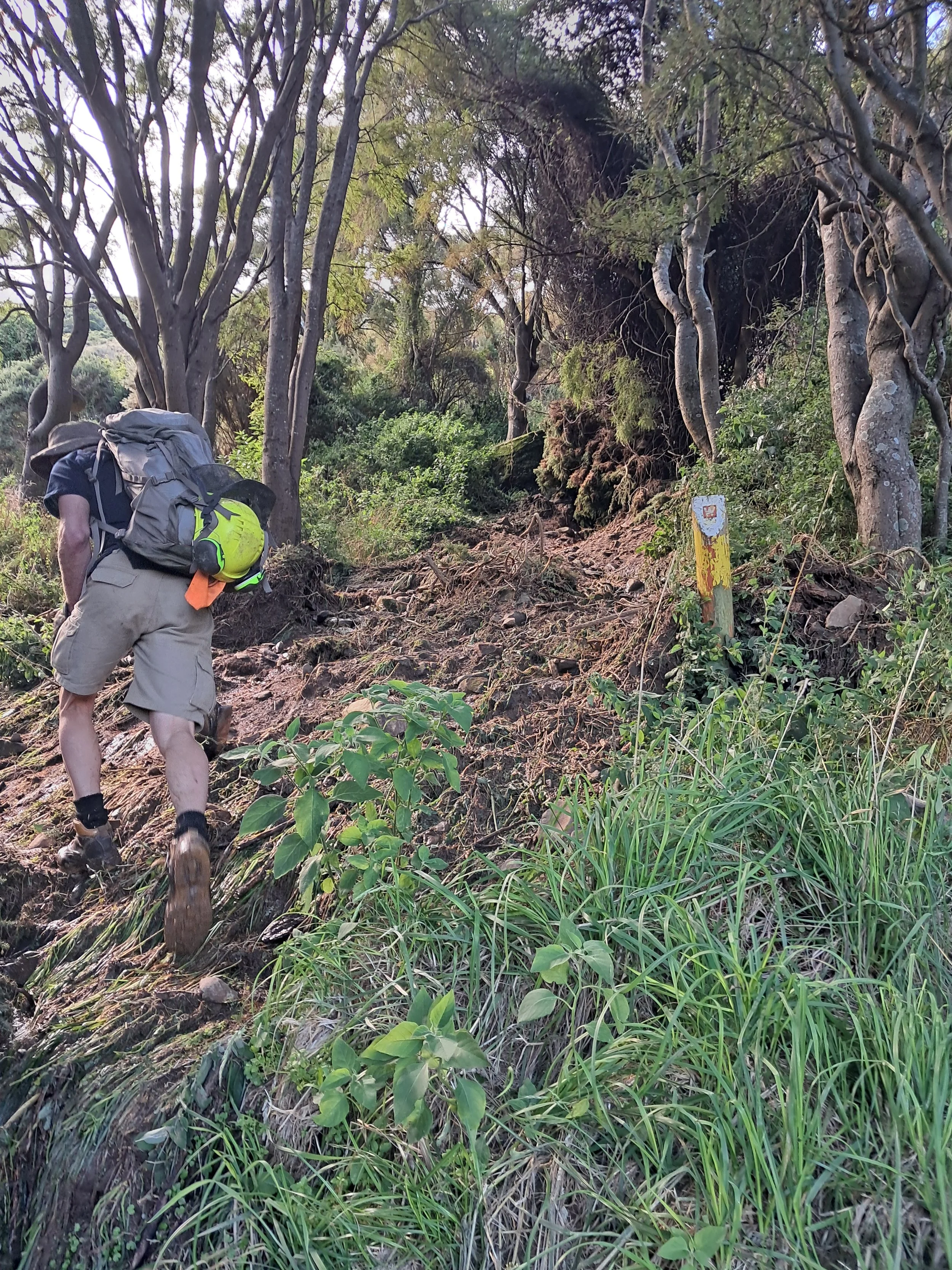 Copy of W Myles walking up Mataī.jpg