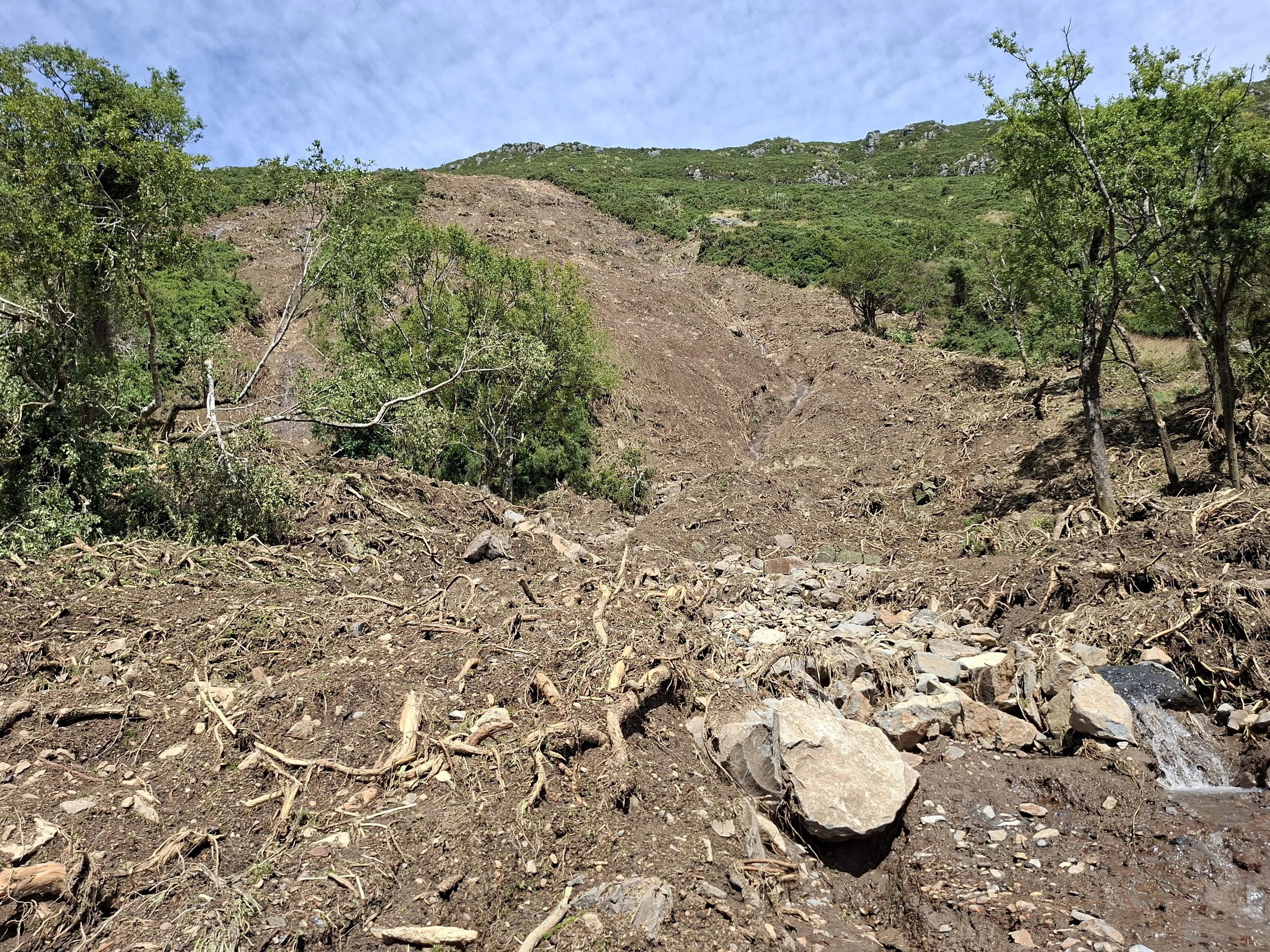 Copy of W looking up BIG slip.jpg