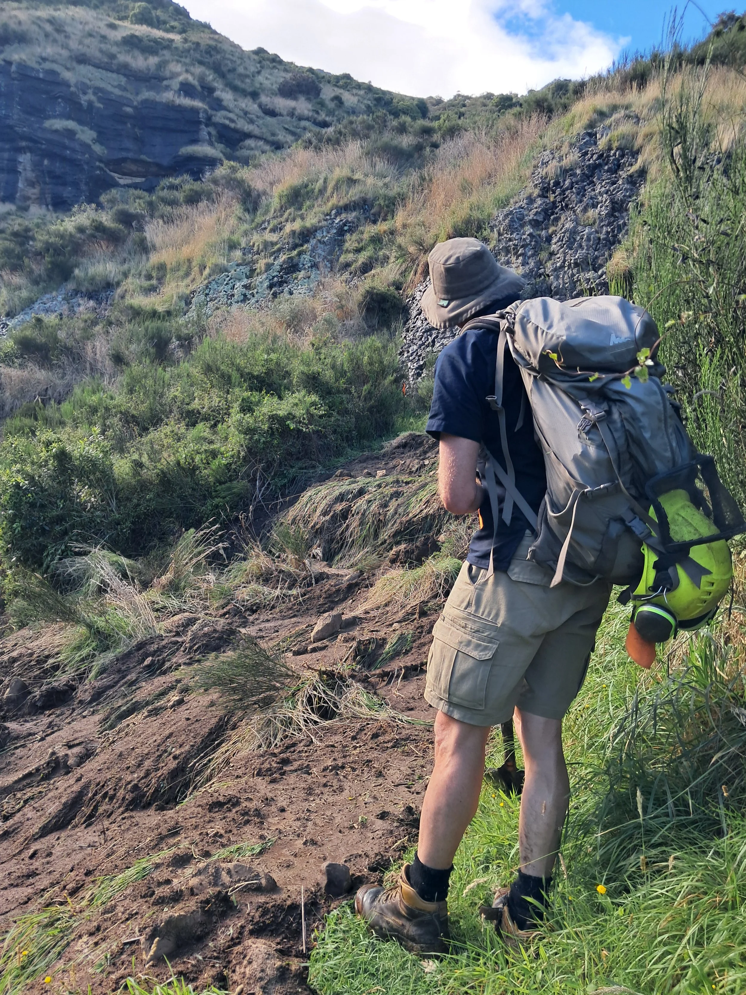 Copy of W Damage on Mataī Track.jpg