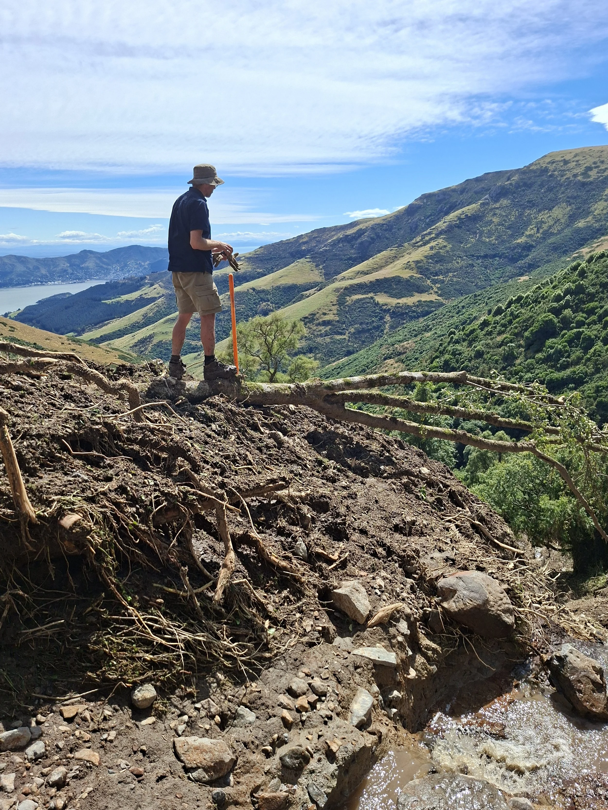 Copy of W Myles contemplating toppled tree.jpg