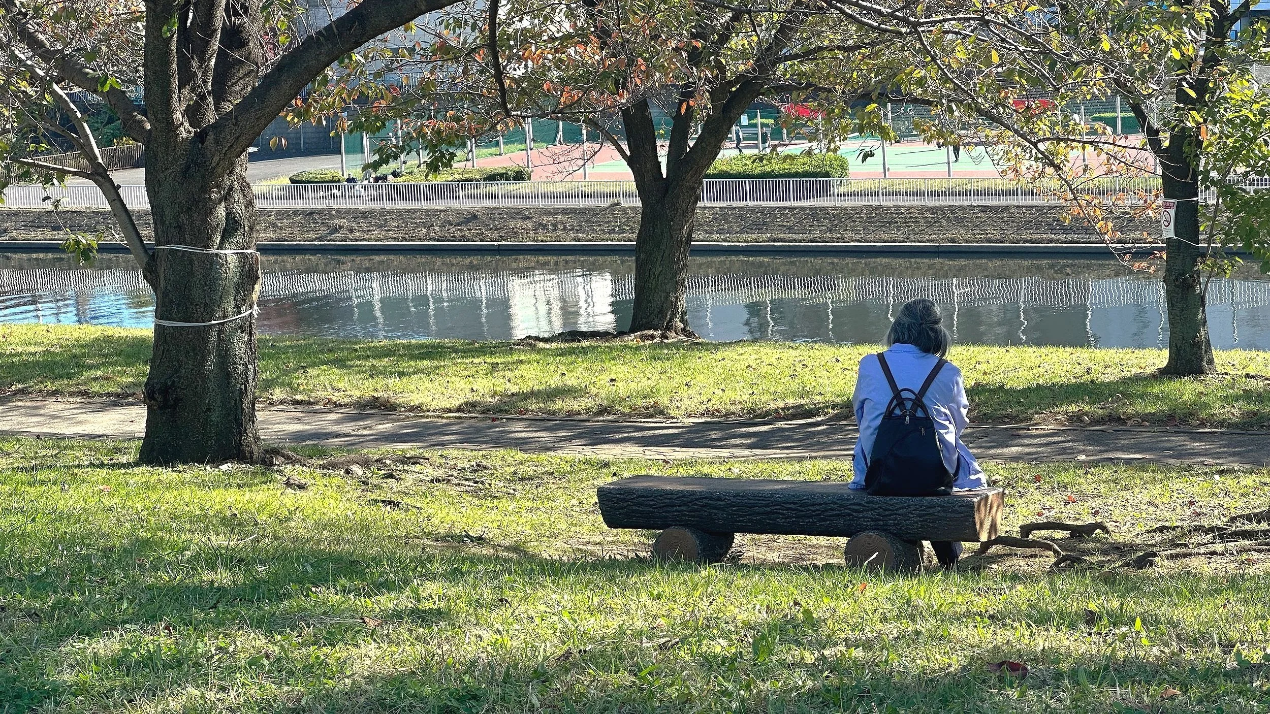 Arakawa River in Akabane, Kita City, Tokyo