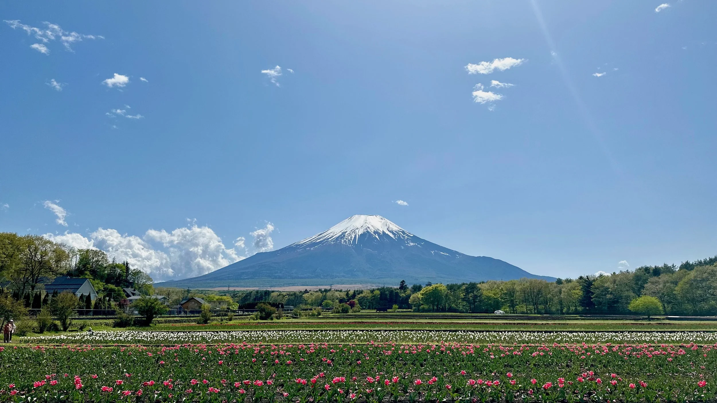 From Tokyo to Fuji-san: a 5-day Road Trip with a Toddler 「Day 3: Hananomiyako Park」