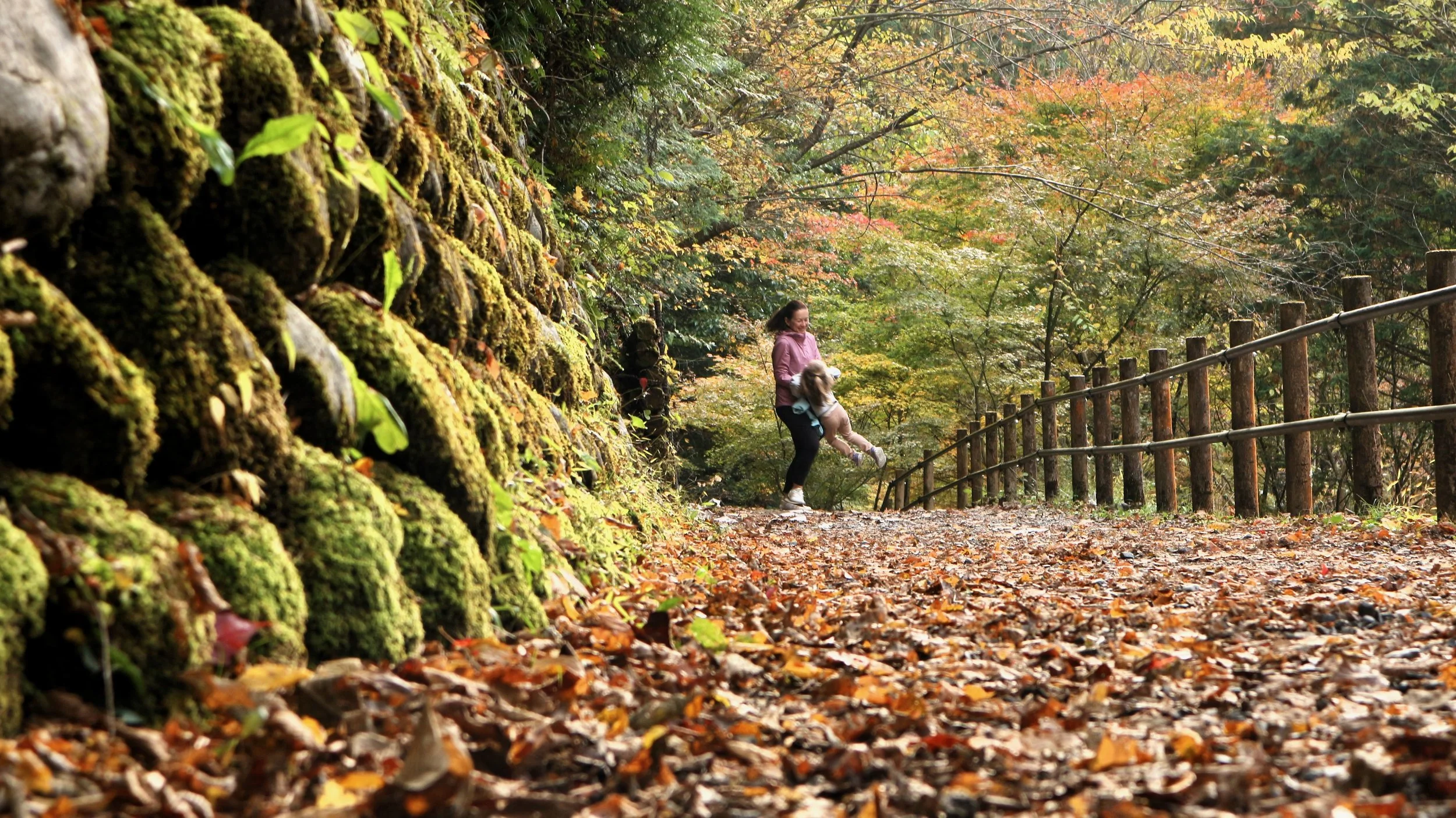 Van Life Chronicles: Exploring Gifu in 7 Days「Day 4: Gero &amp; Nakatsugawa」