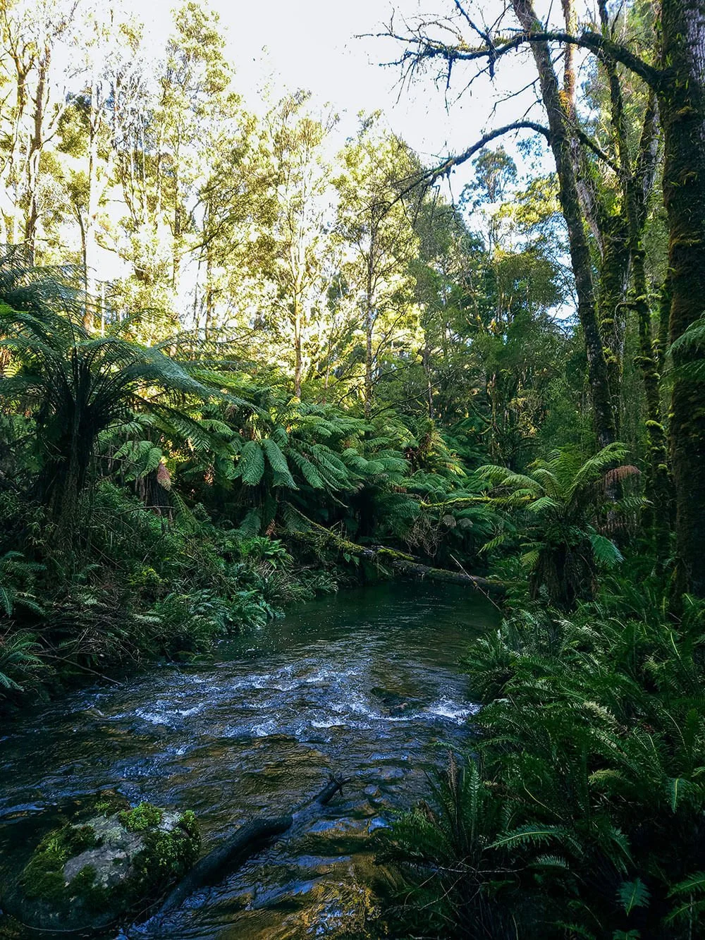 5-20240805_103218.jpg