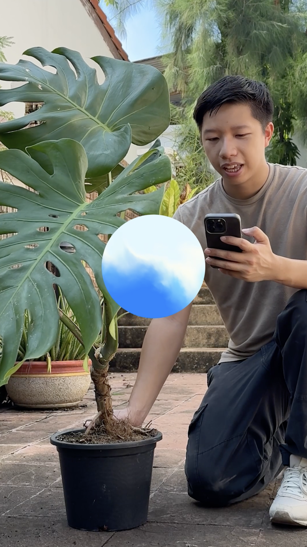 OpenAI - ChatGPT Voice Feature