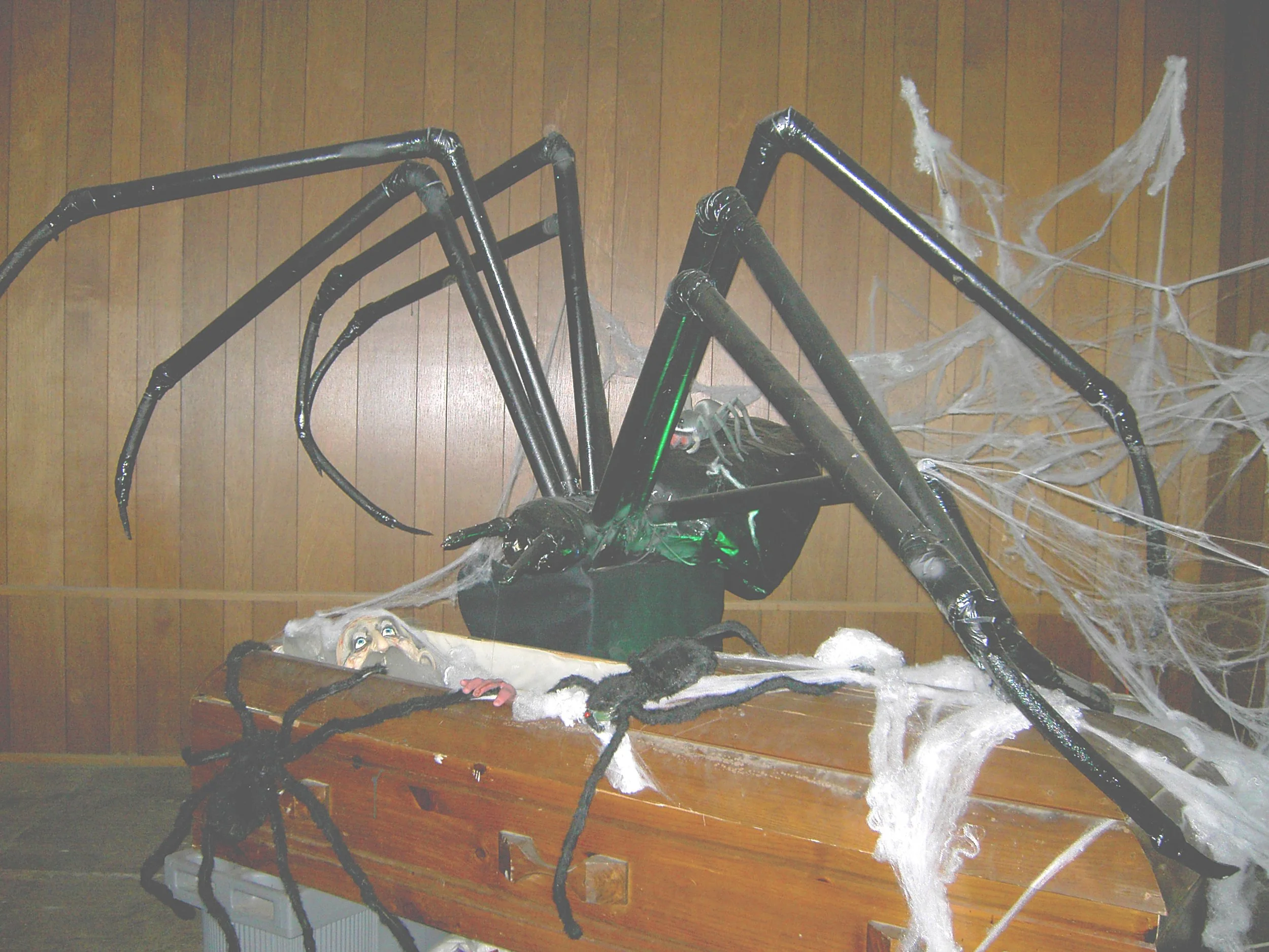 Giant Black Widow 5.JPG