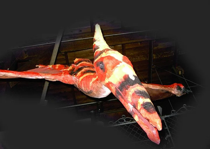 pteranadon2.jpg