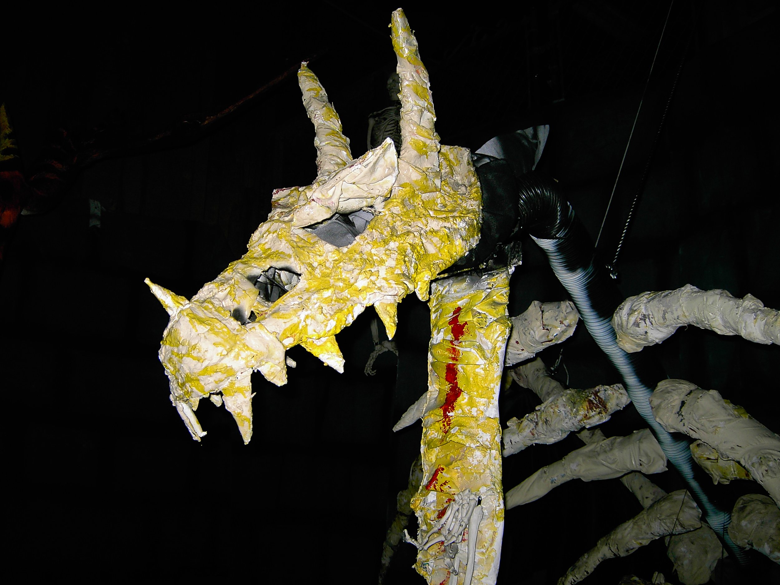 Dragon Skeleton 7.JPG