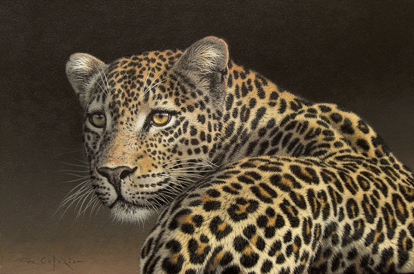 Sunset Leopard.jpg