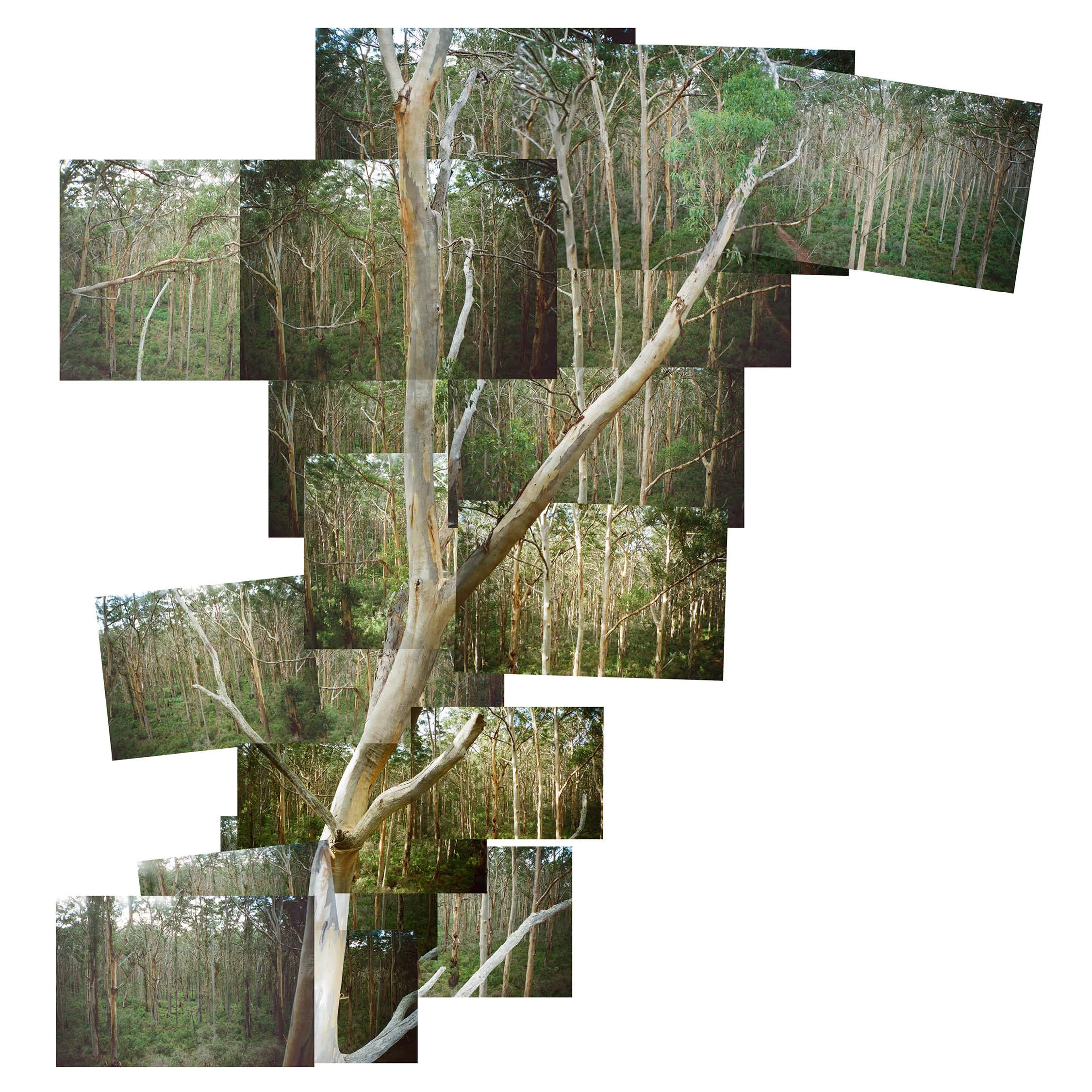 issue03_web tile_4.jpg