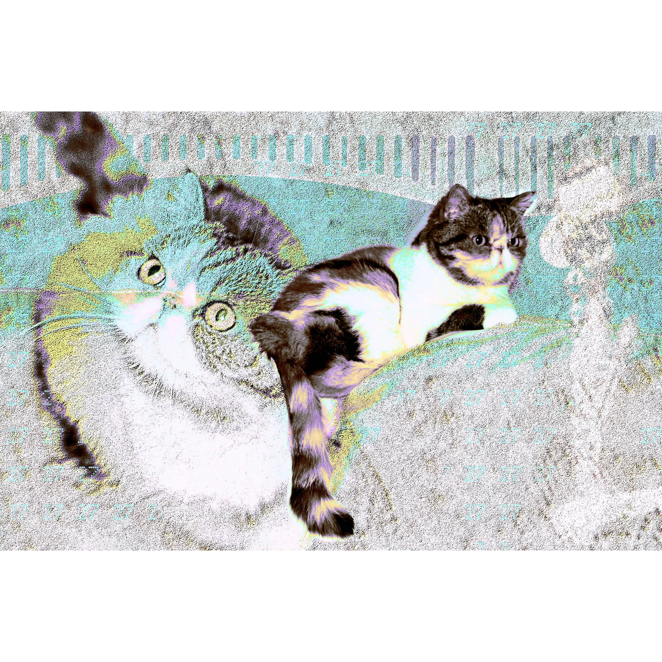 issue03_web tile_9.jpg