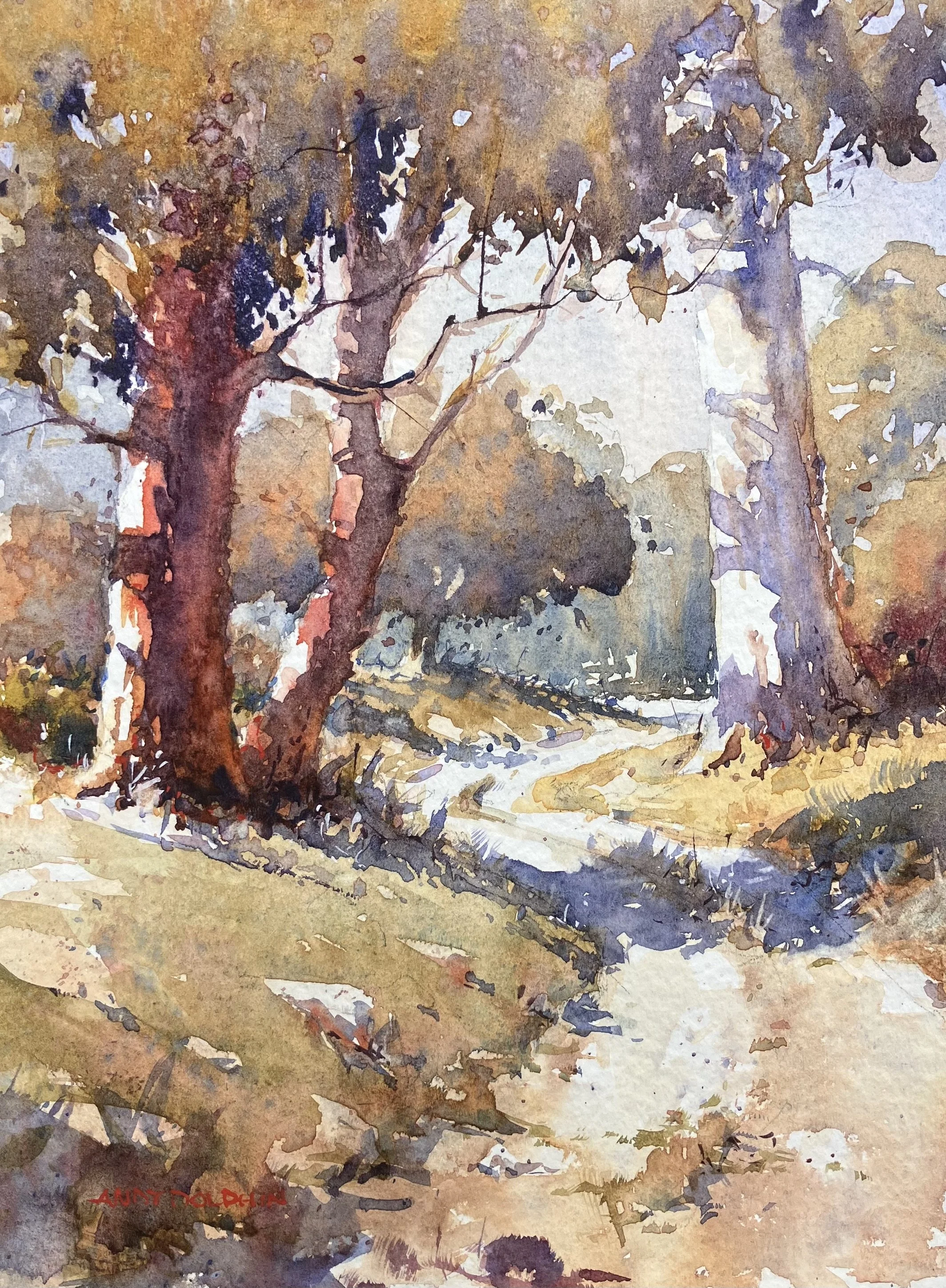 The Bottom Track Andy Dolphin.jpg